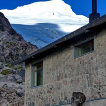 Cayambe with Refugio Oleas Ruales